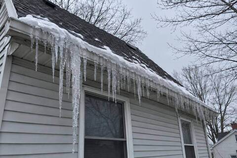 Thick icicles hanging from the gutter edge of a steeply pitched asphalt shingle roof, with a ridge of ice built up along the roof edge above them