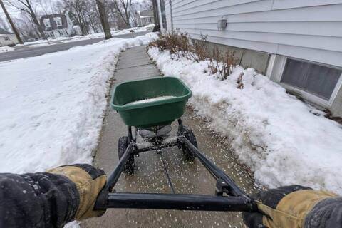 A walk-behind broadcast spreader being pushed along a cleared concrete walkway beside a house, granular ice melt scattering across the damp surface