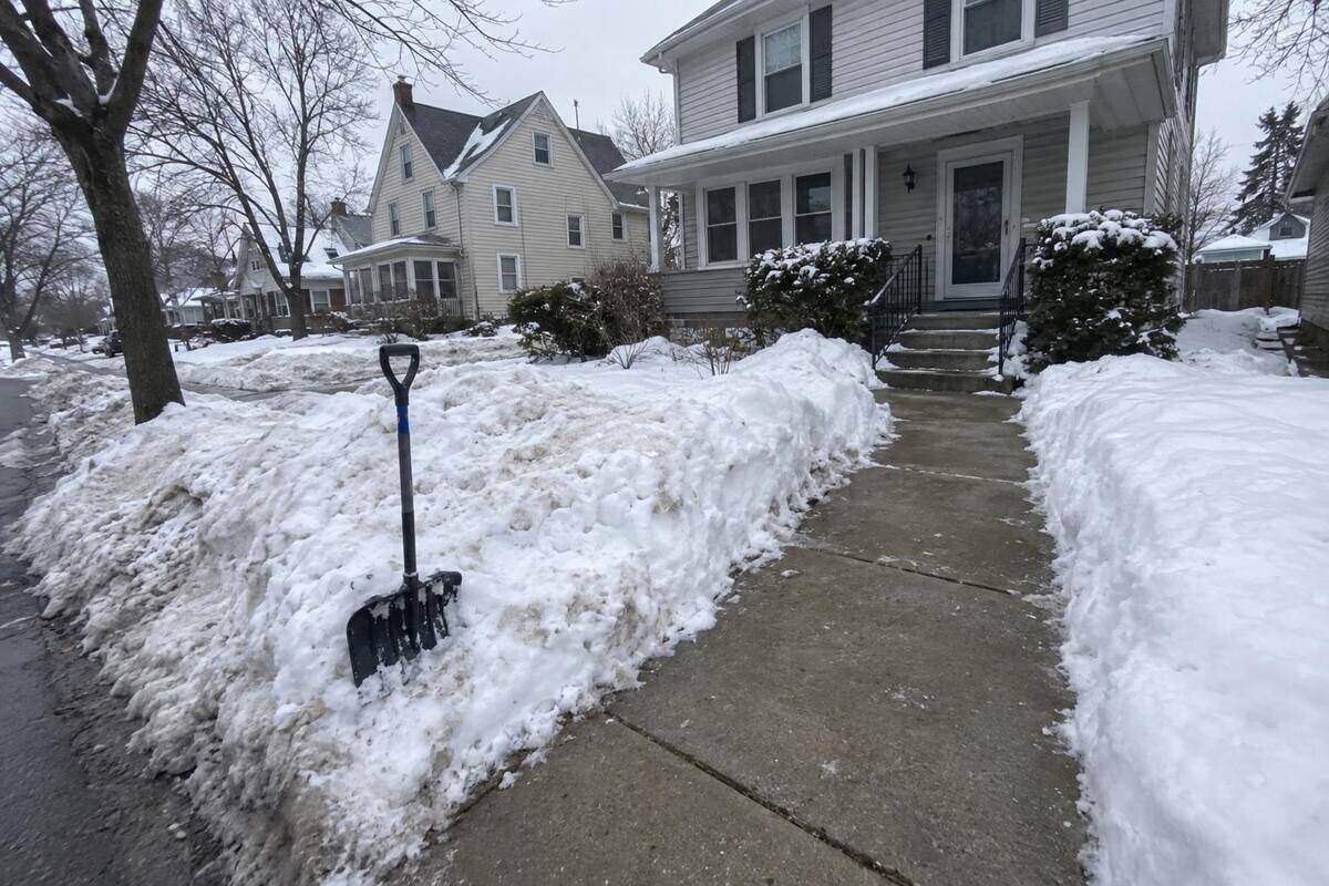 A public sidewalk in front of an older house cleared to bare concrete across its full width, snow walls on both sides and a shovel standing in the bank